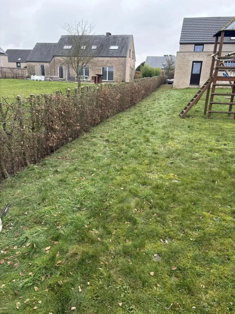 Création de pelouse à Yvoir