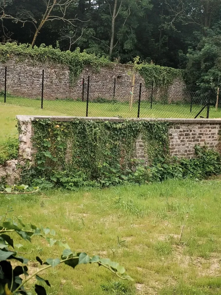 Allée de garage à Yvoir